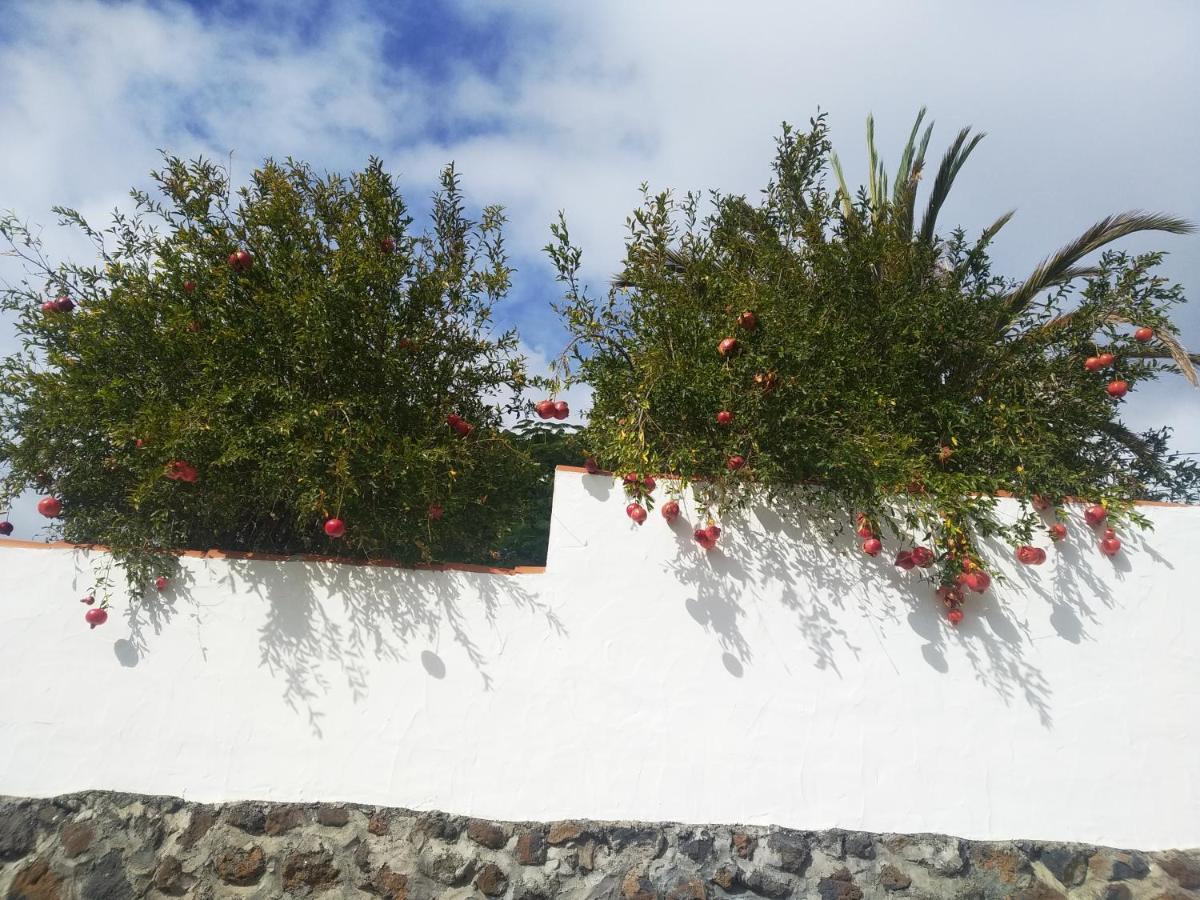Appartamento Casitas Rosheli Los Llanos De Aridane Esterno foto